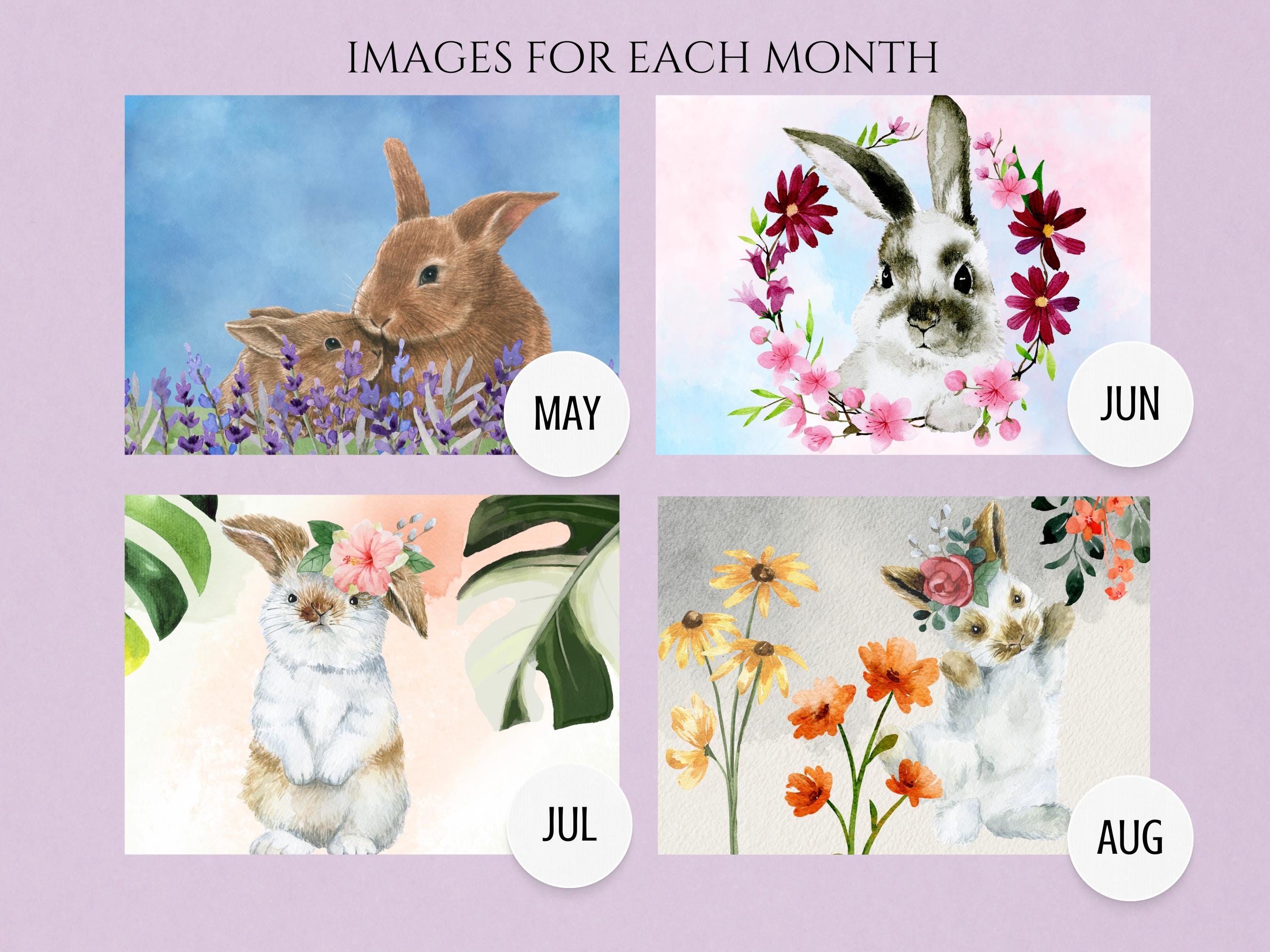 Buy 2026 Watercolor Rabbits Calendar for Kids or Bunny Mom • Whimsical  Bunny Calendar for Classroom, Nursery \u0026 Homeschool Online in India - Etsy, image size:2700x2025