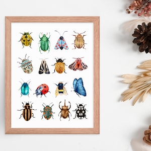 Whimsical Insect Vintage Wall Print, Watercolor Bug and Insect Wall Art, Nursery Nature Art, Pretty Colorful Bugs Beetles Insect Wall Decor