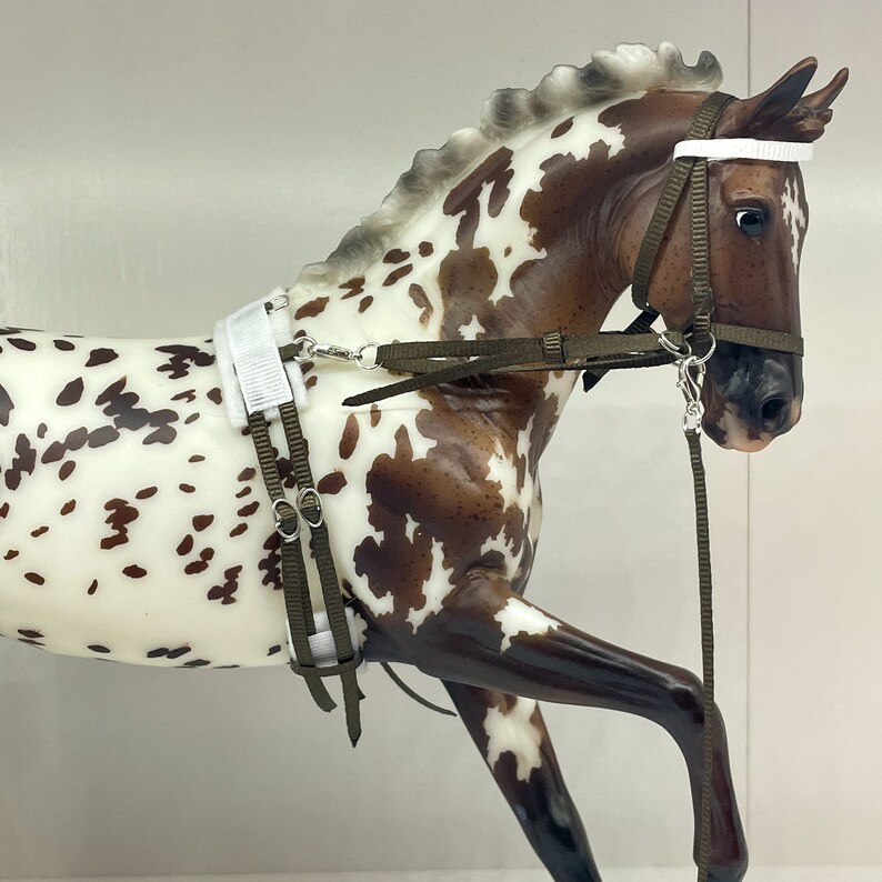 Breyer Model Horse Pessoa Lunge Set Etsy