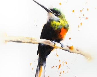Watercolor Print, Hummingbird Watercolor, Humming Bird Painting, Printed from Original Watercolor Painting, Home decoration, Art Print
