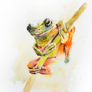 May include: Watercolour painting of a green tree frog with orange and yellow markings, perched on a branch with its legs crossed.