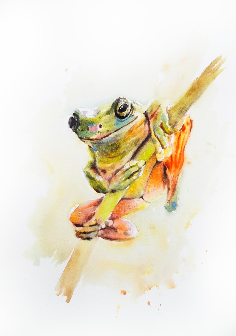 May include: Watercolour painting of a green tree frog with orange and yellow markings, perched on a branch with its legs crossed.