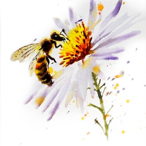 Wall Decor, Painting of bees, Watercolour art print, Flower Nature Botanical ,  Wildlife , Bumble Bee , Chamomile floral collection, Daisy
