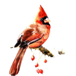 Cardinal bird painting, Watercolor Print, holiday decoration, Winter decoration, Bird lover gift, Christmas gifts, Red Cardinal, Wall art