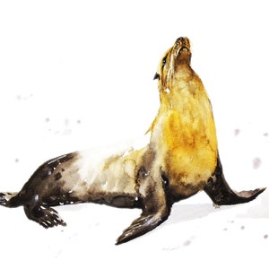 Watercolor painting of seals, Sea life art, Home decor, Wall art, Nursery Wall Decor, Ocean Art, Marine Animal Print, Nursery Animal Print