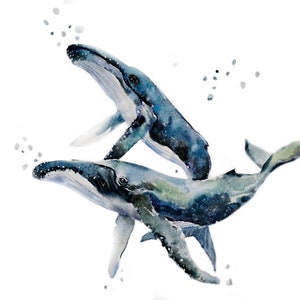 Watercolor painting of humpback whale couple, humpback whale, beach decoration sea, whale art, whale art, sea life art. home decor