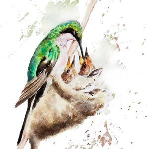 Mother hummingbird and baby hummingbird, mothers day gift, Bird Watercolor Painting, Bird Artwork, Bird Lover Gift, Home Decor, Wall Decor