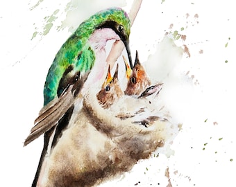 May include: A watercolor painting of a hummingbird feeding its young. The hummingbird is green and pink, and the chicks are brown. The painting is set against a white background with green and brown splatters.