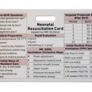 Neonatal Resuscitation Card - NRP - RN - nicu nurse - NNP - quick badge resource
