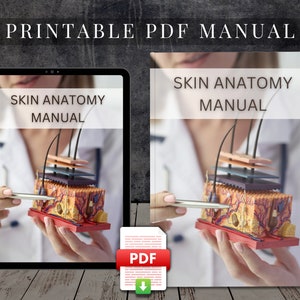 May include: Printable PDF manual with a close-up image of a model of human skin anatomy. The model is being held by a person wearing a white lab coat. The text "SKIN ANATOMY MANUAL" is displayed on the cover of the manual.