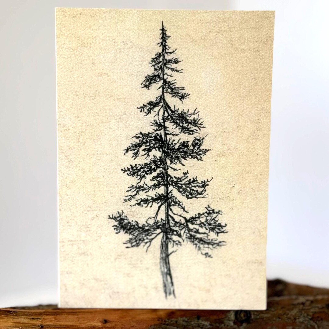 Hand-drawn Pine Tree Card, Blank Greeting Card - Etsy