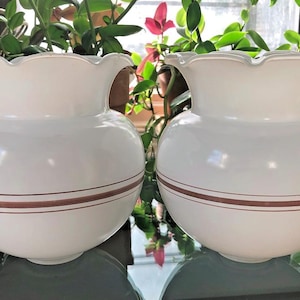 May include: A pair of white glass lamp shades with a rounded, bulbous body and a wide, ruffled top edge. Each shade features a thin, horizontal brown band encircling the center of the glass, providing a simple contrast to the smooth white finish.