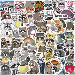 50 Stickers Raccoon 2 Design Cute Aesthetic Stickers Decal Collection