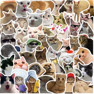 50 Stickers Cats Photo Emoji Design Cute Aesthetic Stickers Decal Collection
