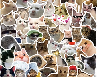 50 Stickers Cats Photo Emoji Design Cute Aesthetic Stickers Decal Collection