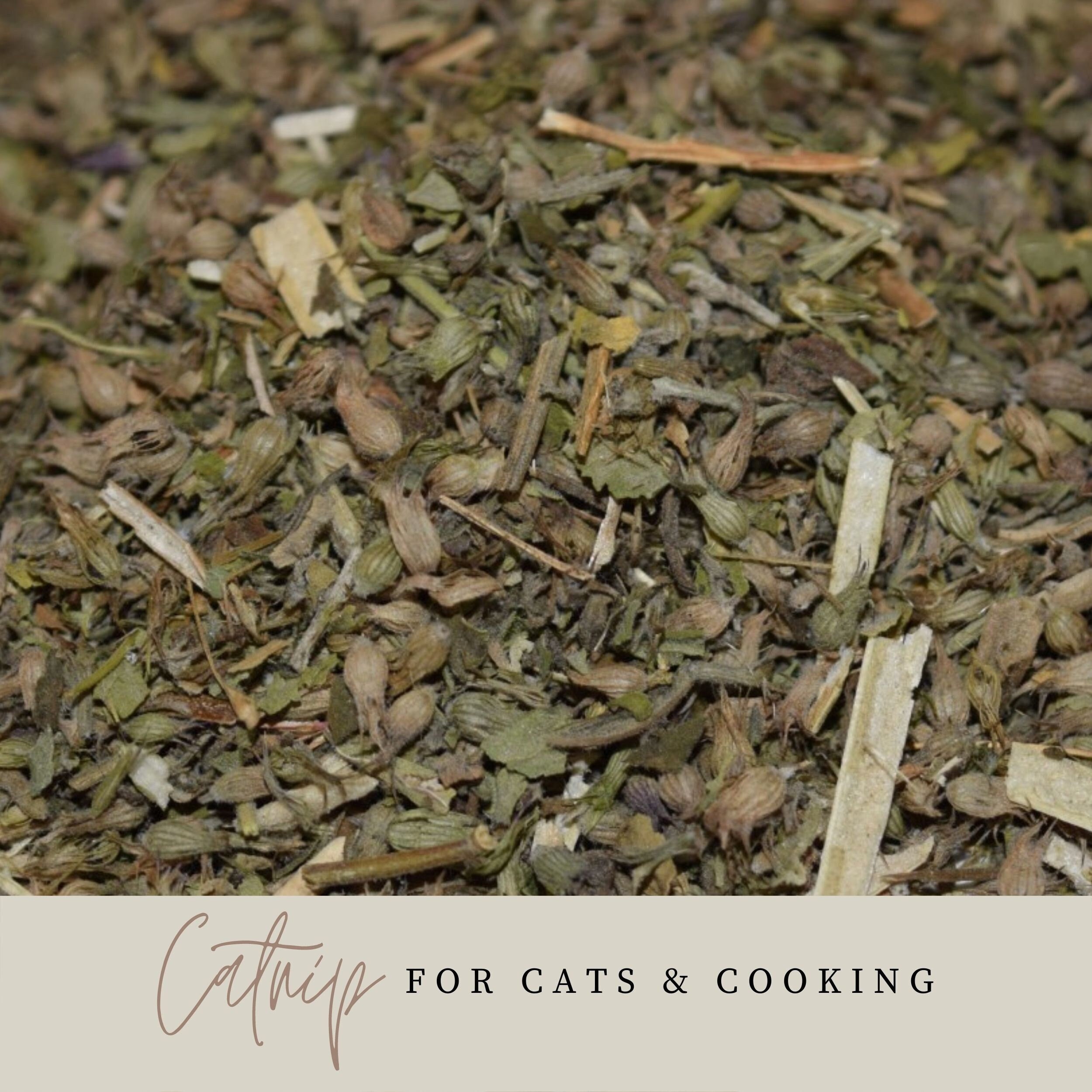 Catnip — Spice & Tea Merchants