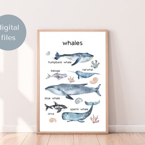 Whale Print Nursery, Whale Theme Nursery, Whale Wall Art, Nautical Nursery, Under The Sea Nursery, Classroom Prints, Classroom Wall Art