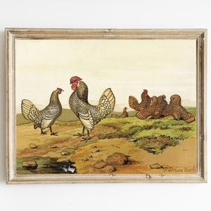 Vintage Rooster Illustration | Illustration of Barnyard Chickens | Fun Farmhouse Wall Art | PRINTABLE ROOSTER ART | Farm Animal Art Poster