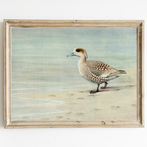 Vintage Seaside Oil Painting | Antique Duck Painting | Printable Bird Art | INSTANT DIGITAL DOWNLOAD | Cottage Wall Art | Lakehouse Decor