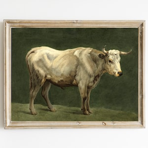 Vintage Bull Oil Painting | Rustic Farmhouse Wall Art | Farm Animal Print | White Cow Bull Illustration | PRINTABLE COW ART | Digital Print