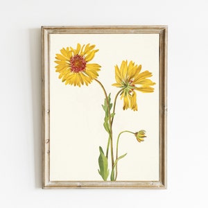 Vintage Botanical Painting | Antique Flower Wall Art | Yellow Flowers | Spring Floral Art Print | Summer Cottage Decor | DIGITAL DOWNLOAD