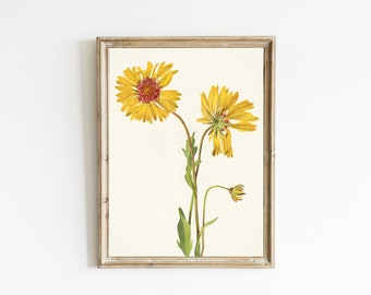 Vintage Botanical Painting | Antique Flower Wall Art | Yellow Flowers | Spring Floral Art Print | Summer Cottage Decor | DIGITAL DOWNLOAD
