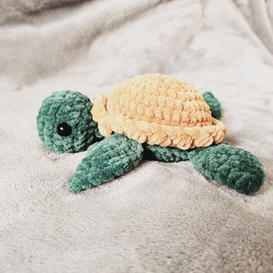 Zuma die Schildkröte
