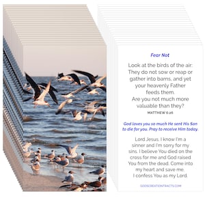 Fear Not Gospel Tracts Matthew 6:26 • 25 Pack Pocket-Size Scripture Cards with Salvation Prayer • Christian Encouragement and Outreach