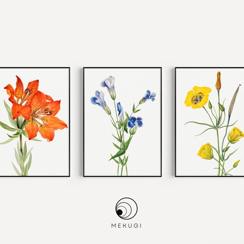 Colorful Botanical 3 Piece Wall Art Floral Triptych Art Set - Etsy