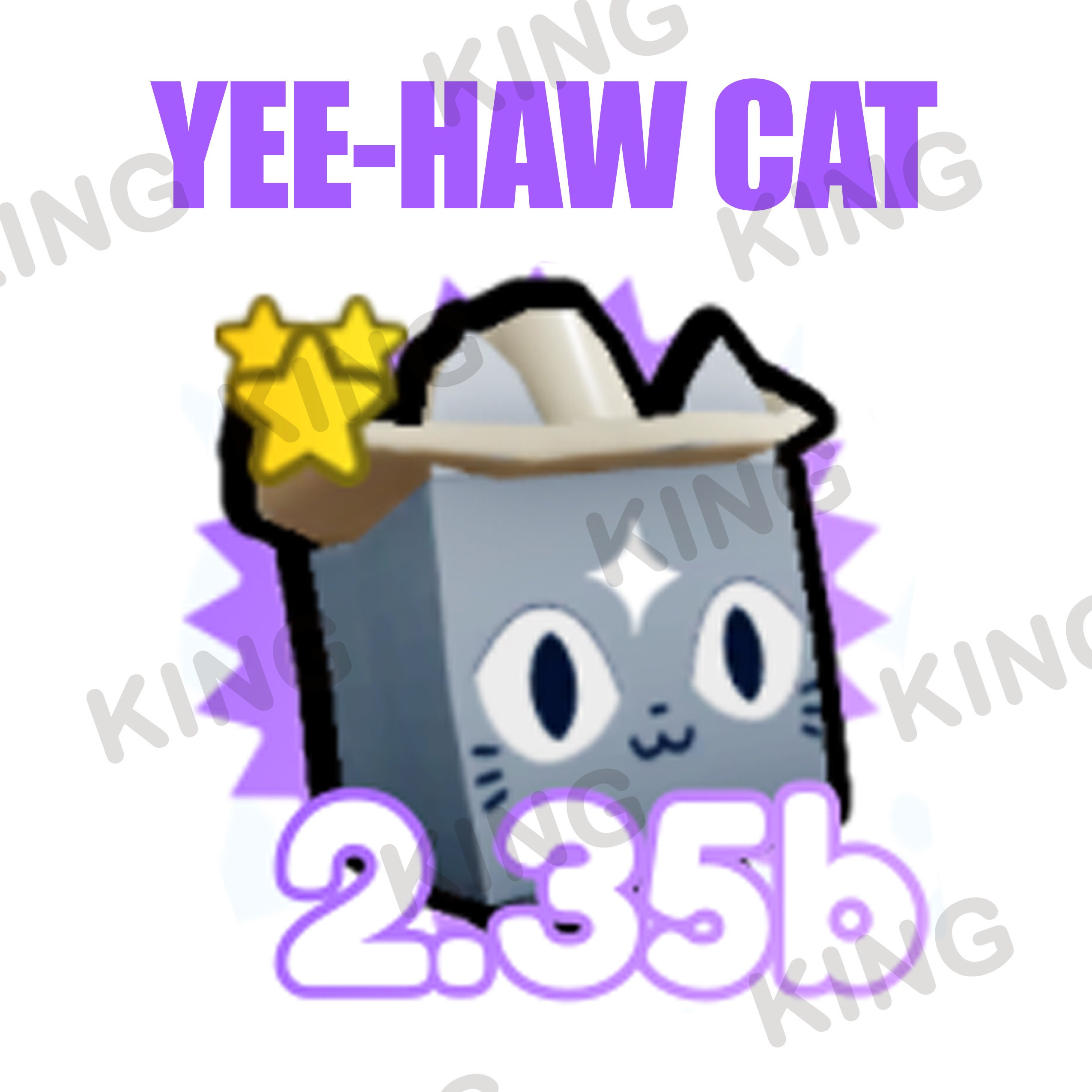Pet Simulator X Exclusive Yeehaw Cat tier 1 Etsy