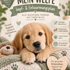 Op de afbeelding: Een vaccinatie- en ontwormingsschema voor puppy's met een gouden puppy, hartvormige labels en tekst waaronder MEIN WELPE, Impf- & Entwurmungsplan en Kleine Pfoten Große Abenteuer. Het document bevat iconen voor het bijhouden van de gezondheid.