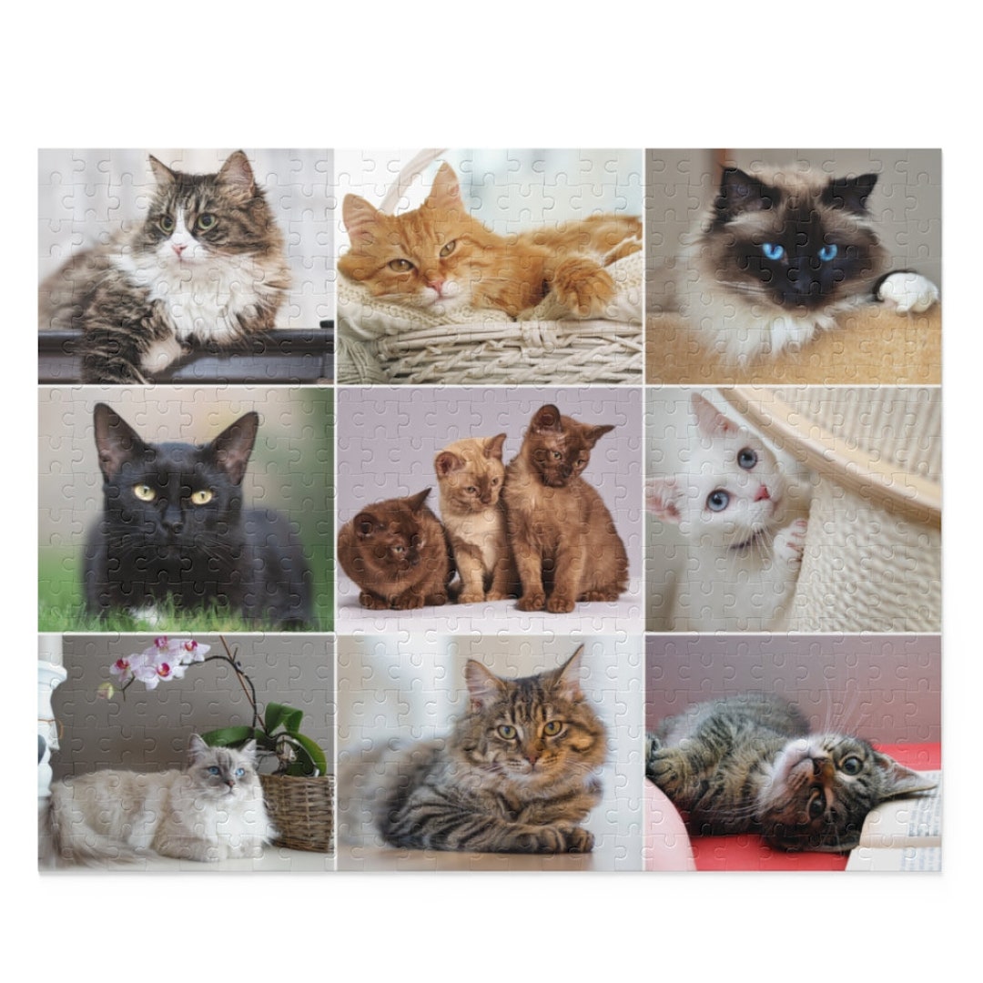 Cat Jigsaw Puzzles 500 Pieces Five Hundred Piece Jigsaw Etsy