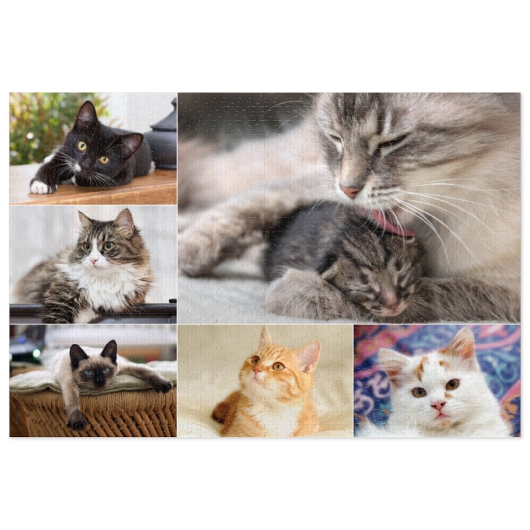 Cat Jigsaw Puzzles 1000 Pieces for Adults, Cat Jigsaw Puzzles 1000