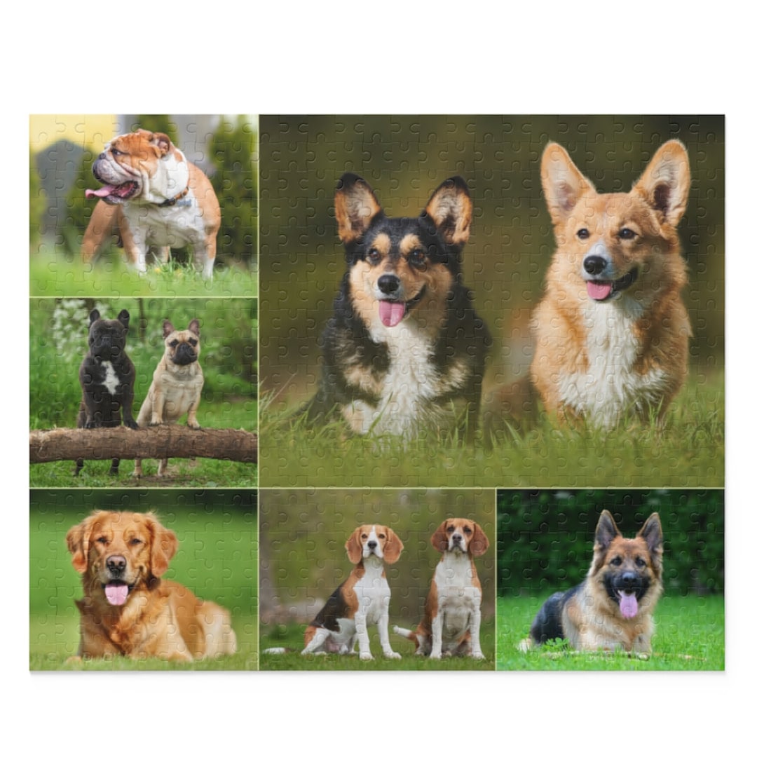 Dog Jigsaw Puzzles 500 Pieces for Adults, Dog Jigsaw Puzzles for Adults