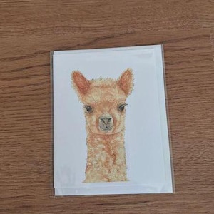 Biglietto pieghevole, biglietto di compleanno, biglietto di congratulazioni - Buon compleanno, Compleanno - con busta abbinata - Alpaca