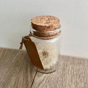 Diente de león en un vaso - cumple deseos - para cumpleaños, Navidad, Día de San Valentín