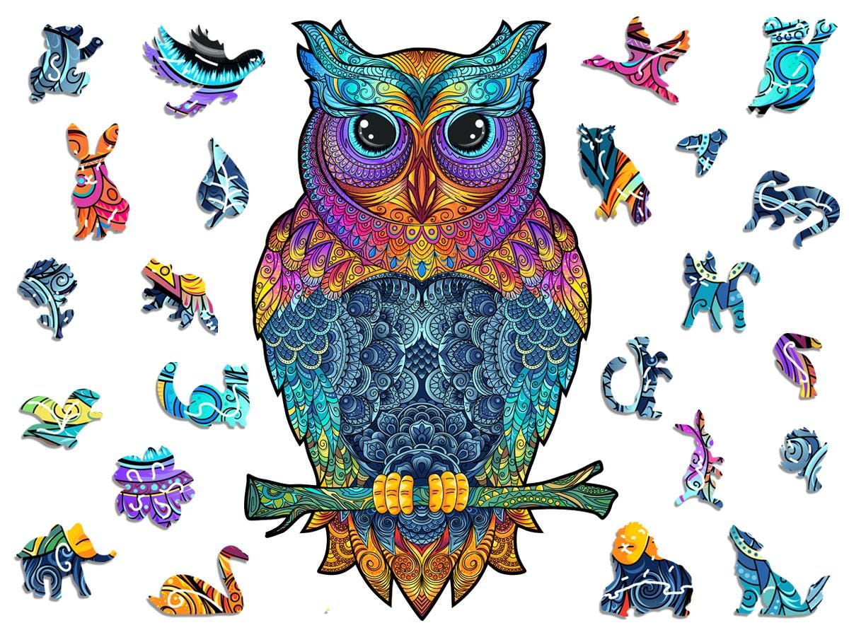 Colorful Owl Wooden Jigsaw Puzzle – Unique Animal Shapes, Polish 