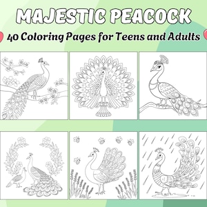 Peacock Coloring Pages: 40 Elegant Designs for Adults & Teens (PDF Instant Download)