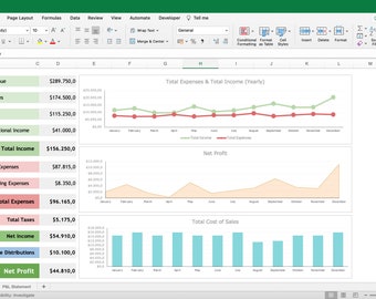Profit and Loss Statement Excel Template | Financial Spreadsheet | Annual Profit & Loss Statement | Invoice | Monthly Budget Spreadsheet