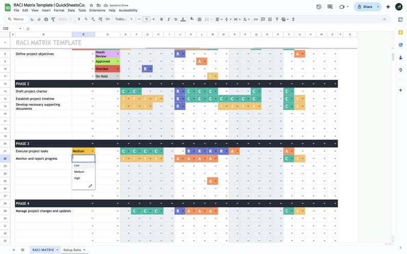 RACI Matrix | Google Sheets Template | RACI Chart | Responsibility ...