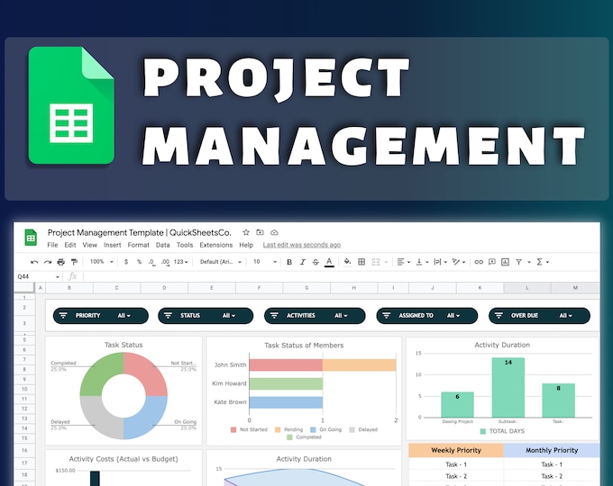 Project Management Dashboard | Excel Template | Automatic Dashboard ...