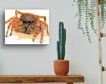 14"x11" PRINT - Vibrant Spider's Gaze