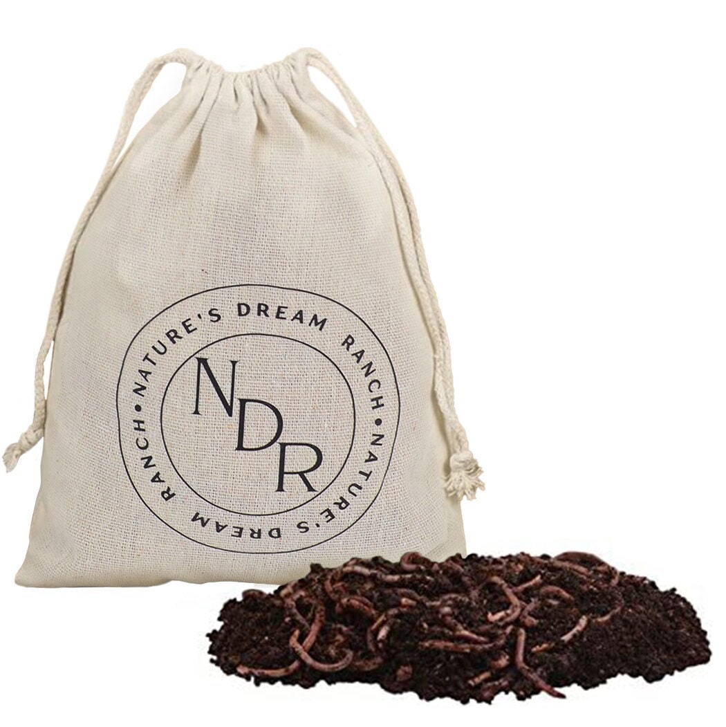 200 Count Live Red Wigglers Composting Worms Red Wiggler Worm Farm for