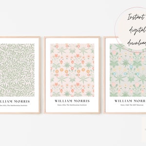 Op de afbeelding: Drie afdrukbare kunstprints met William Morris-ontwerpen. De prints zijn in een lichtgroen, roze en blauw kleurenschema. De prints zijn getiteld "Willow 1871", "Daisy 1864" en "Daisy 1898".