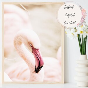 Flamingo Print, Flamingo Poster, Flamingo Art, Wall Art, Scandinavian, Minimalist, Boho, Nordic Digital Printable, Animal Wall Art Print
