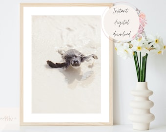 Baby Sea Turtle Digital Print, Turtle on Beach Printable, Coastal Decor, Marine Animal Wall Art, Coastal and Beach Wall Art, Sea Turtle Art