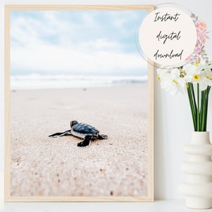 Baby Sea Turtle Digital Print, Turtle on Shore Printable, Coastal Decor, Marine Animal Wall Art, Coastal and Beach Wall Art, Sea Turtle Art