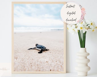 Baby Sea Turtle Digital Print, Turtle on Shore Printable, Coastal Decor, Marine Animal Wall Art, Coastal and Beach Wall Art, Sea Turtle Art