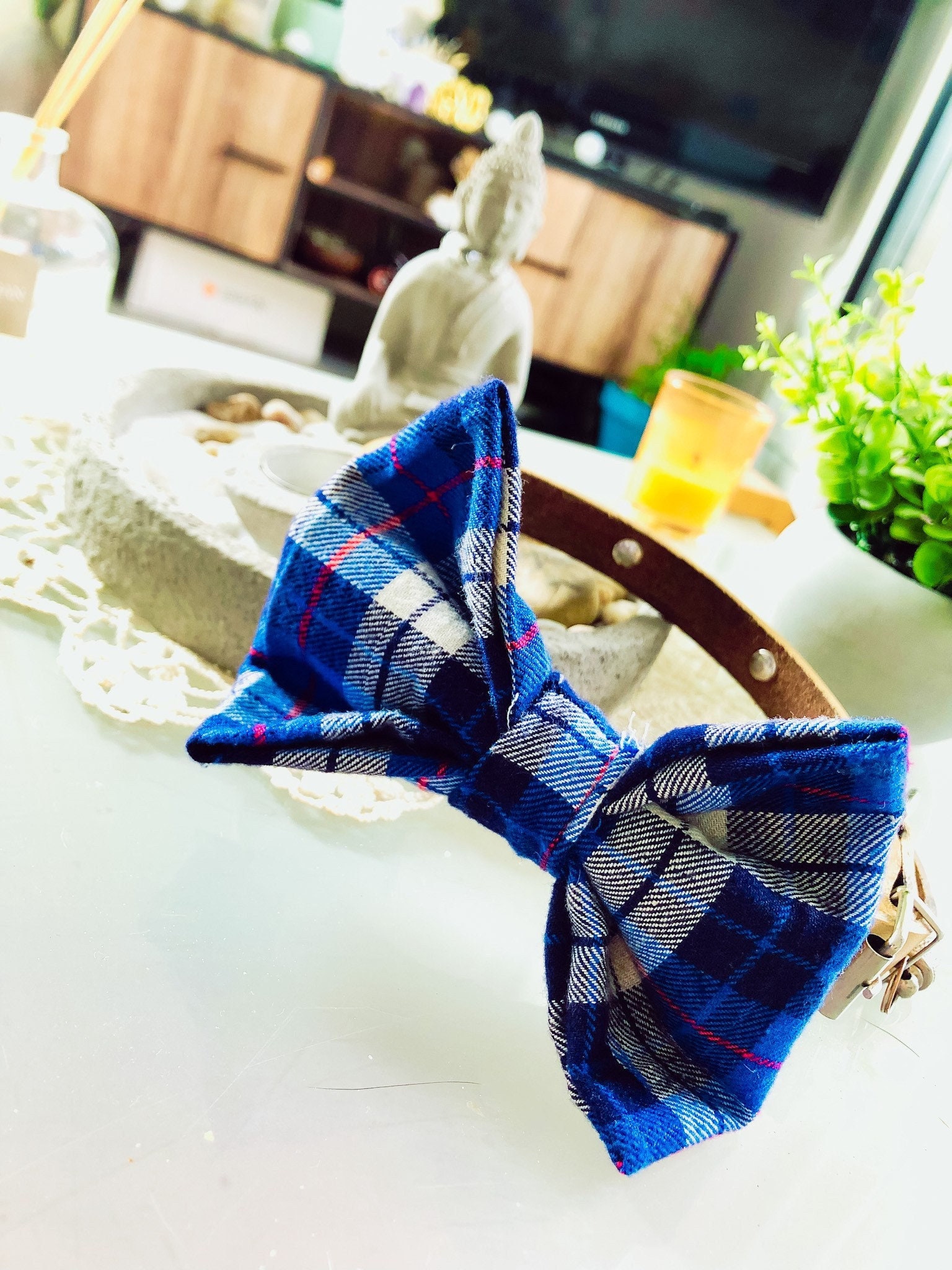 Noeud Papillon Pour Chien - Animal de Compagnie