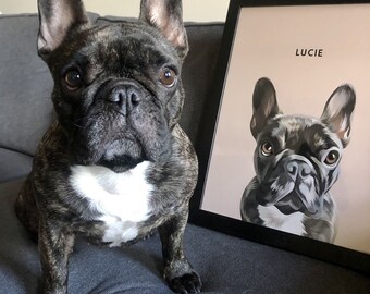 Personalised Pet Portrait Illustration